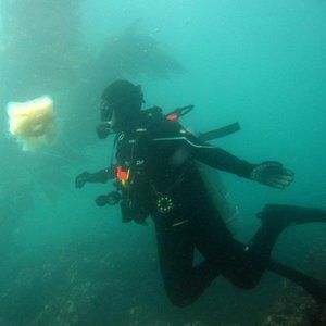 Meet your Posher, Ana luisa